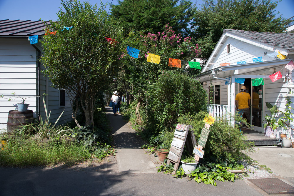 TOWN GUIDE JOHNSON TOWN｜ジョンソンタウン